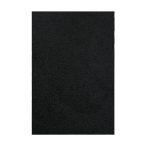 Modern Plush  2' X 3' Rectangle Black Solid Color Pet and Kids Friendly Area Rugs