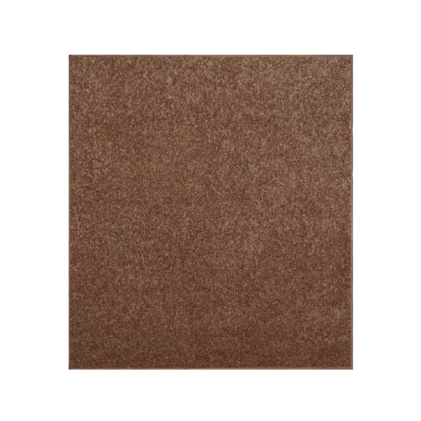 Modern Plush  2' X 2' Square Brown Solid Color Pet and Kids Friendly Area Rugs