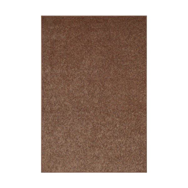 Modern Plush  2' X 3' Rectangle Brown Solid Color Pet and Kids Friendly Area Rugs