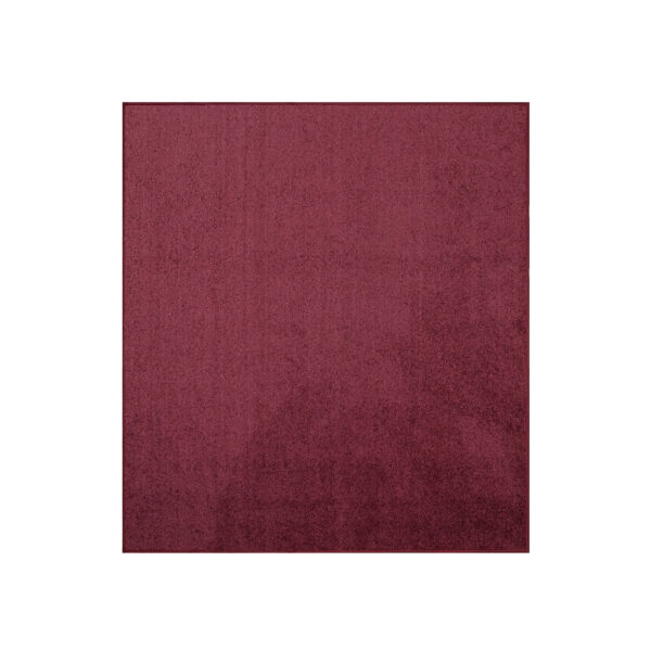 Modern Plush  2' X 2' Square Cranberry Solid Color Pet and Kids Friendly Area Rugs