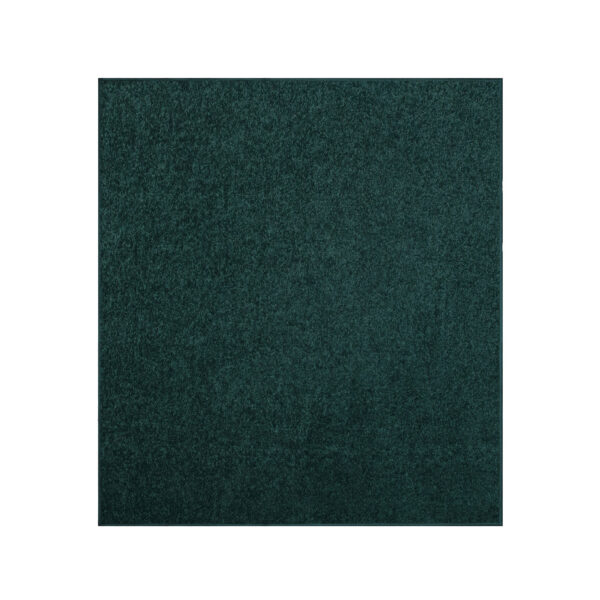 Modern Plush  2' X 2' Square Forest Green Solid Color Pet and Kids Friendly Area Rugs