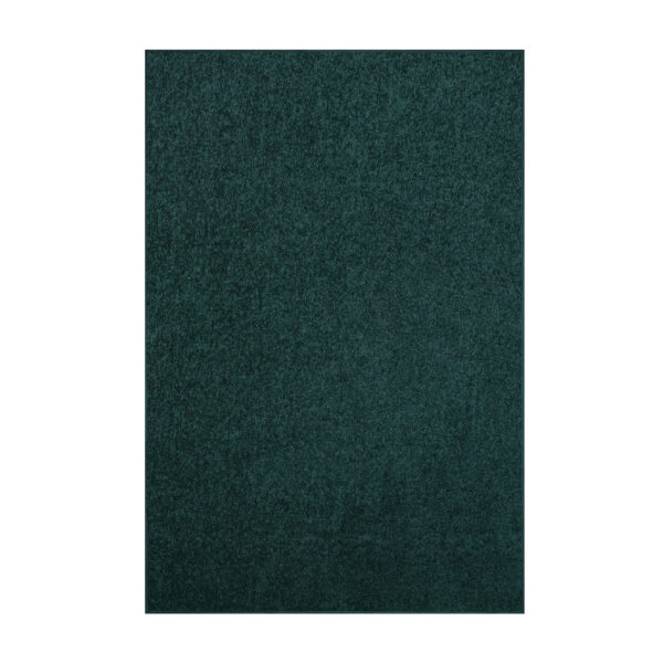 Modern Plush  5' X 7' Rectangle Forest Green Solid Color Pet and Kids Friendly Area Rugs