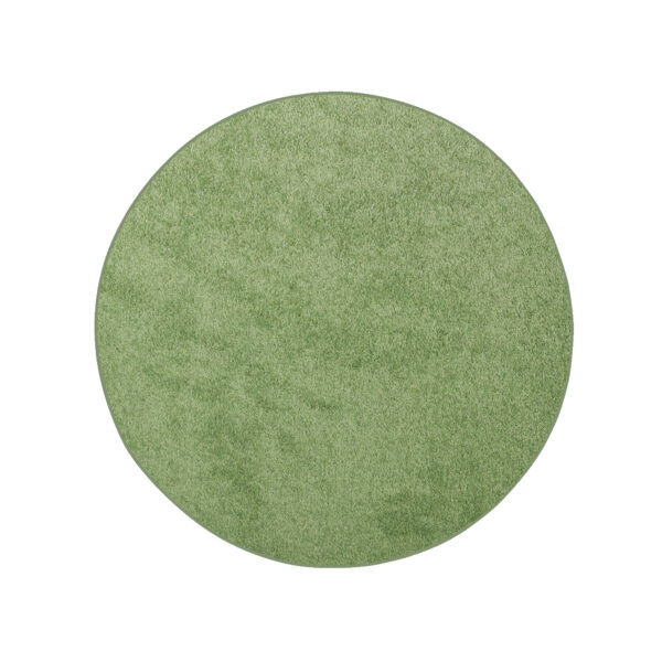 Modern Plush  4' Round Lime Green Solid Color Pet and Kids Friendly Area Rugs