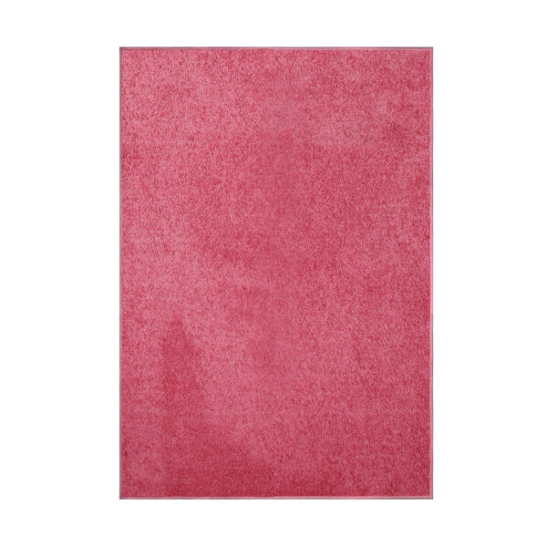 Modern Plush  5' X 7' Rectangle Pink Solid Color Pet and Kids Friendly Area Rugs