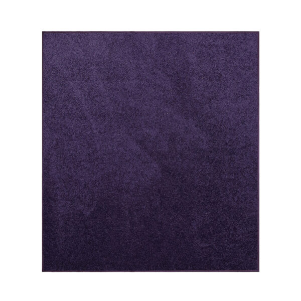 Modern Plush  2' X 2' Square Purple Solid Color Pet and Kids Friendly Area Rugs