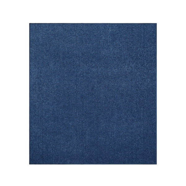 Modern Plush  2' X 2' Square Royal Solid Color Pet and Kids Friendly Area Rugs