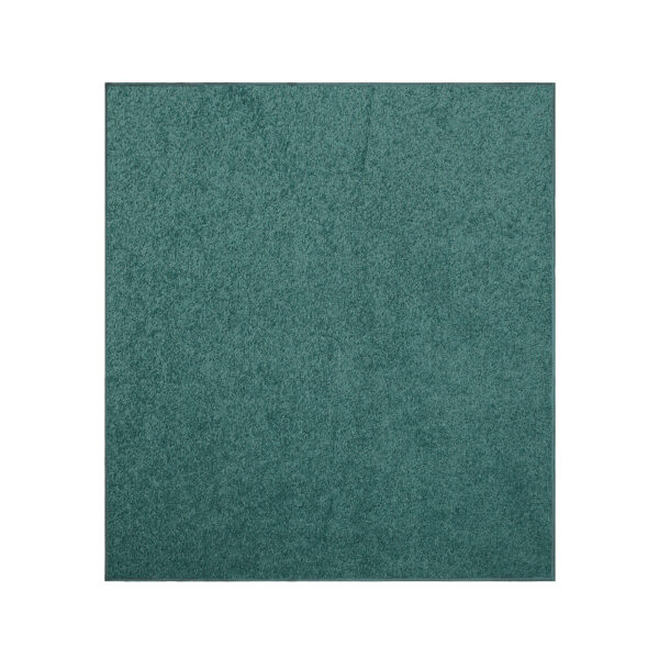 Modern Plush  2' X 2' Square Teal Solid Color Pet and Kids Friendly Area Rugs