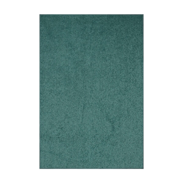 Modern Plush  5' X 7' Rectangle Teal Solid Color Pet and Kids Friendly Area Rugs