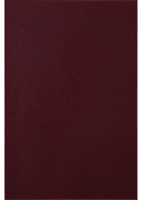 Modern Indoor Outdoor 2' X 3' Rectangle Burgundy Commercial Solid Color Area Rugs