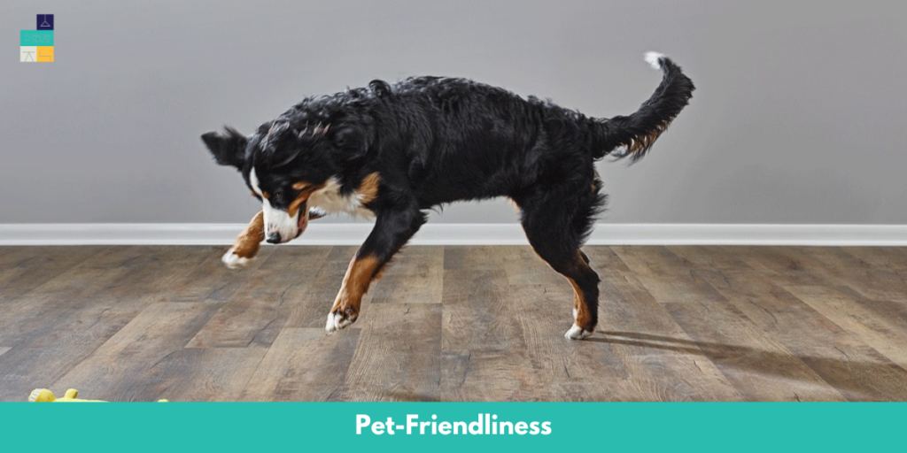Pet-Friendliness