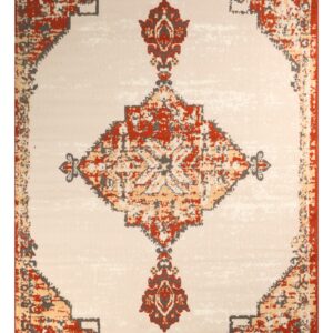 Furnish My Place Distressed Area Rug