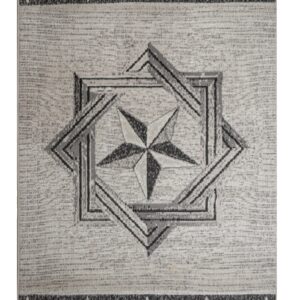 Furnish My Place Texas Star Rug