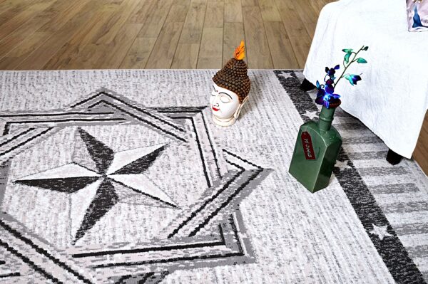 Furnish My Place Texas Star Rug - Image 8