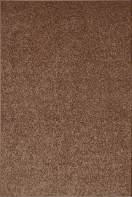 Brown Carpet