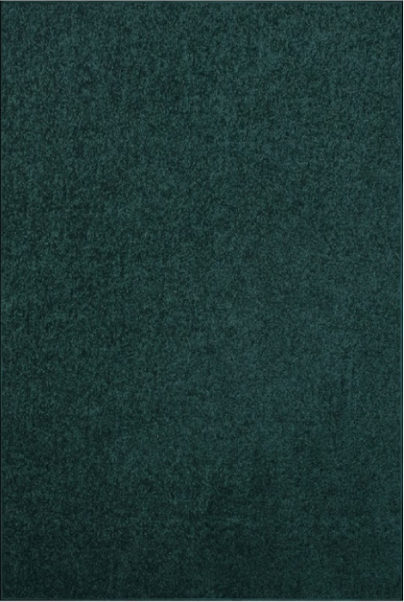Forest Green Carpet