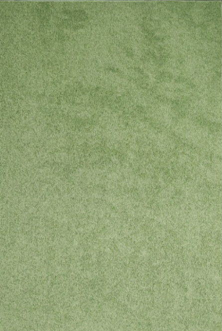 Lime Green Carpet