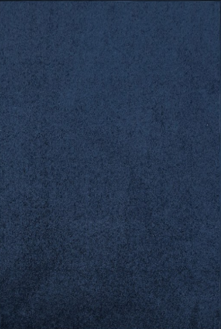 Navy Carpet
