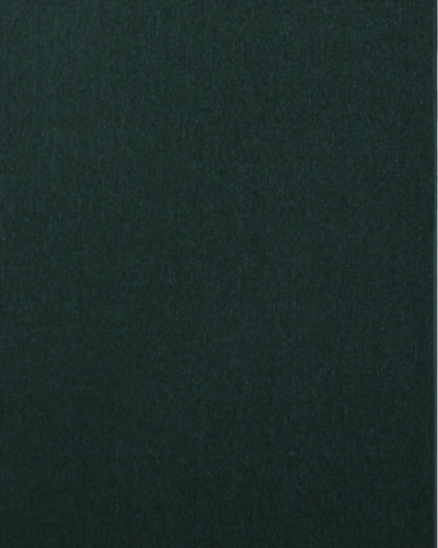 Indoor-Outdoor Carpet