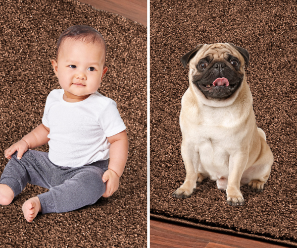 Pets & Kids Friendly Carpet