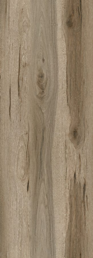 Caramel Oak1